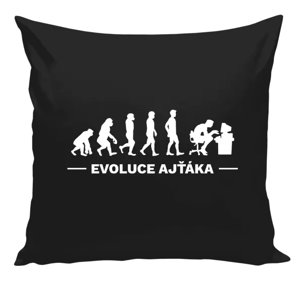 Polštář Evoluce - IT specialista